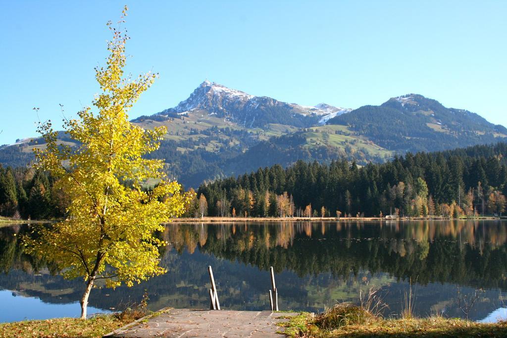 Appartement Lisa Schweiger Kirchberg in Tirol Exterior foto